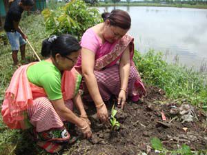 consectetur adipiscing elit. Ut elit tellus, luctus nec ullamcorper mattis, pulvinar dapibus leo. Lorem ipsum dolor sit amet, consectetur adipiscing elit. Ut elit tellus, luctus nec ullamcorper mattis, pulvinar dapibus leo.